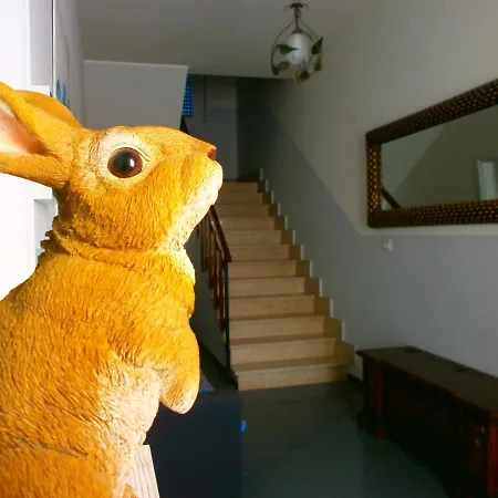 Konukevi Il Leprotto - & Breakfast *